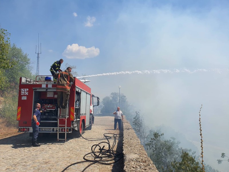 Пожар гори в гръцката част на Родопите близо до границата