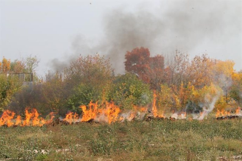 Сухи треви пламнаха в село Варвара, засегнат е горски пункт