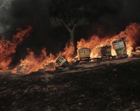 Овладяха големия пожар в Чанаккале
