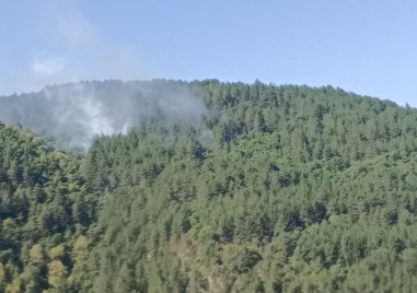 Пожарът в смесена гора на връх Баба в землището между