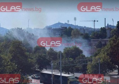Пожар пламна в Пловдив съобщава Сухи треви горят срещу кметството
