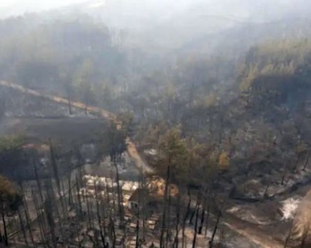 79 души в ареста в Гърция заради палежи