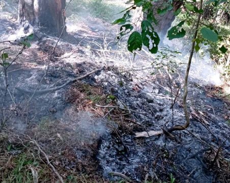 Локализираха пожара на връх 