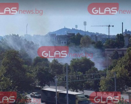 Пожар лумна в Пловдив, вятърът разпалва огъня