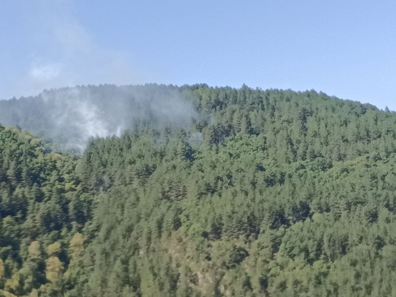 Над 40 души и хеликоптер се борят с пожара на връх 