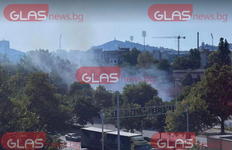 Пожар лумна в Пловдив, вятърът разпалва огъня