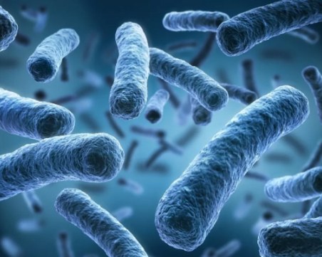 Епидемията от легионелоза в Полша се разраства