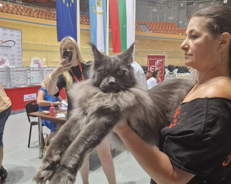 Положението на Колодрума е 