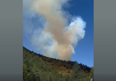Пожар е избухнал в Родопите За това сигнализираха очевидци Борова