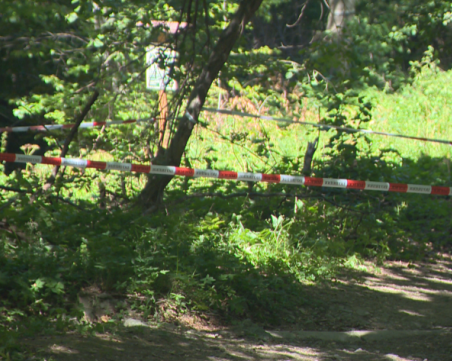 Над 6000 часа записи от охранителни камери са иззети заради убийството на Алексей Петров