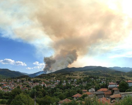 Пожар гори в района на Хвойна