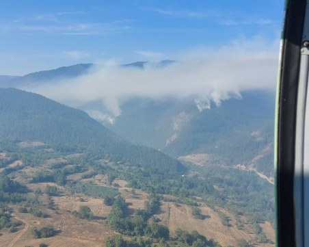 Близо 500 декара борова гора са изгорели при пожара край Хвойна