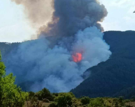 Чепеларе обяви частично бедствено положение заради пожара край Хвойна