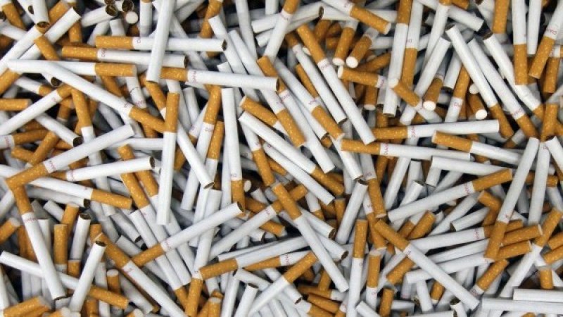 Митнически служители откриха 12 050 000 къса нелегални цигари (1205