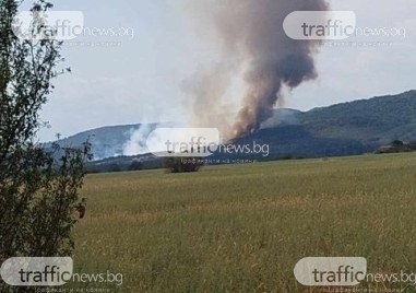 Пожарът в Карловски е обхванал борова гора в землището на