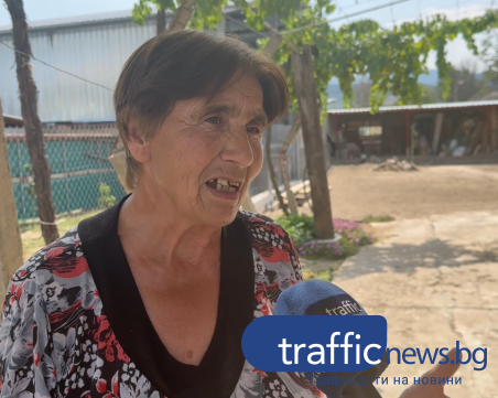 Баба Мария година след наводнението в Каравелово: С инсулт и съборена къща, но с надежда за градина и животни
