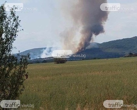 Пожарът край Хисар е обхванал борова гора, шест екипа огнеборци и доброволци се борят с огъня