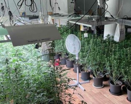 Само през август: Разкрити са 21 лаборатории за наркотици у нас