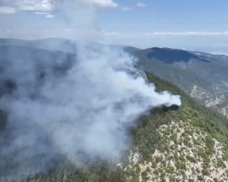 Мълния запали борова гора в Родопите