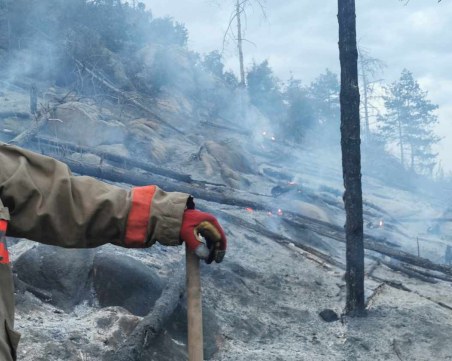 Напълно овладяха пожара в Хисарско