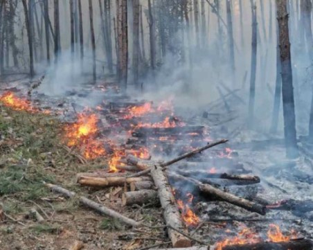 Голям пожар бушува в Свиленградско, евакуираха две села
