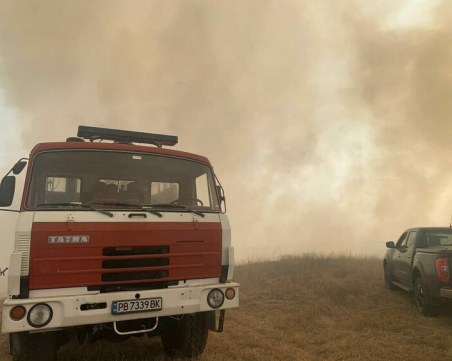Пожар избухна в борова гора край Асеновград