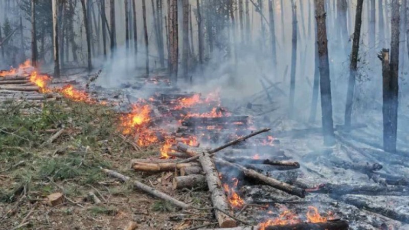 Голям пожар бушува в Свиленградско, евакуираха две села