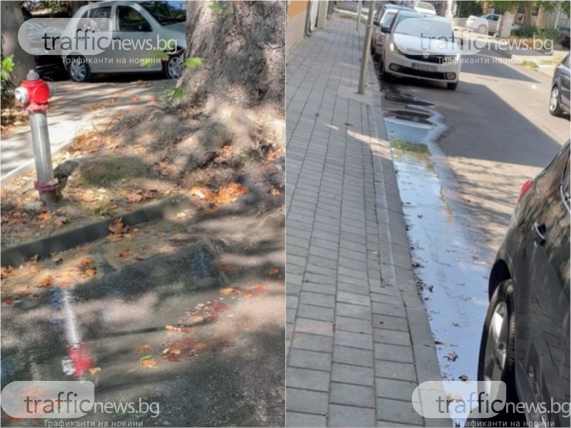 Пловдивска идилия: Водата се лее по пътя, но на кой му пука?