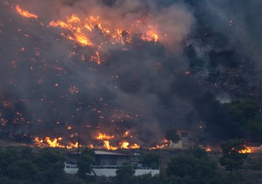 49 нови горски пожара са възникнали през последното денонощие в