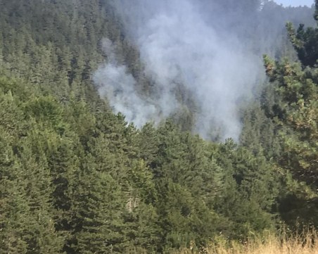 Горските власти работят по пълното овладяване на пожара в Свиленград