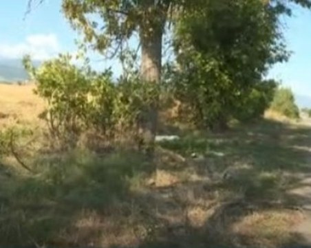 Искат постоянен арест за шофьора, който избяга от проверка и рани полицаи