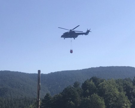 Втори ден военни гасят пожара край Добростан