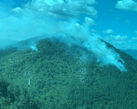 Дъждът окончателно потуши пожара край Асеновград