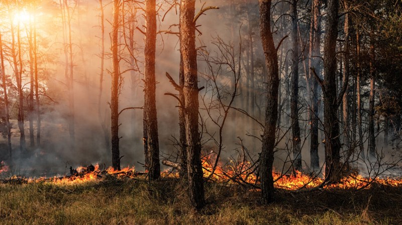 Отмениха бедственото положение заради пожарите в Свиленград и Тополовград