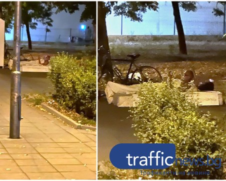 Бездомник спи на матрак в парк вече няколко дни, пловдивчани притеснени