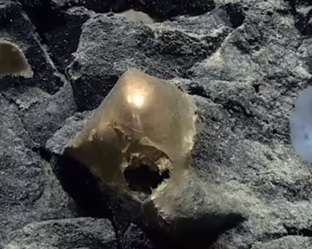 Откриха мистериозно „златно яйце