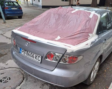 Без буря и вятър: Изсъхнали клони трошат коли в Кършияка