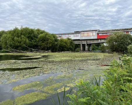 Гледайте Марица, мислете за Царево и Каравелово