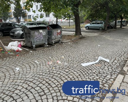 Пловдивчанин: Боклуците са по улиците в Пловдив, сметовозът ги разпилява