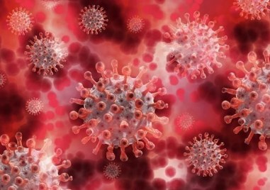 Учени установиха че проникването на новия коронавирус в организмите на