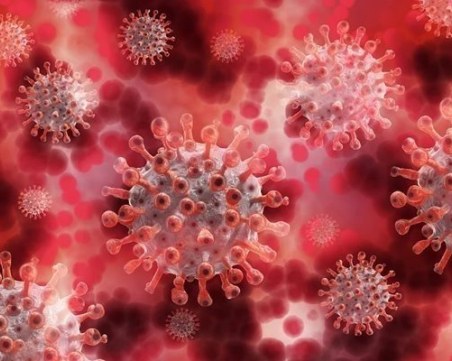 Учени доказаха, че новият коронавирус провокира създаването на автоантитела към панкреаса