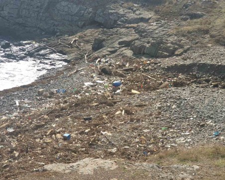 БАБХ издирва телата на 60 крави и пчелини, завлечени от потопа по Южното Черноморие