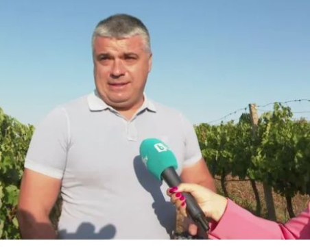 Пловдивски лозар: Ще пием по-скъпо вино и ракия, имаме слаба и нискокачествена реколта