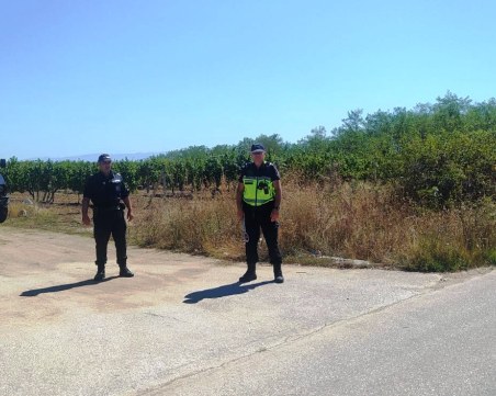 Жандармеристи от Пловдив участват активно в охраната на лозовите масиви