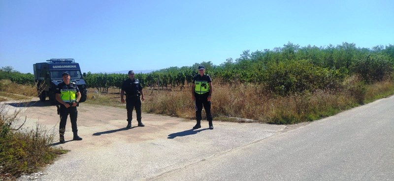 Жандармеристи от Пловдив участват активно в охраната на лозовите масиви