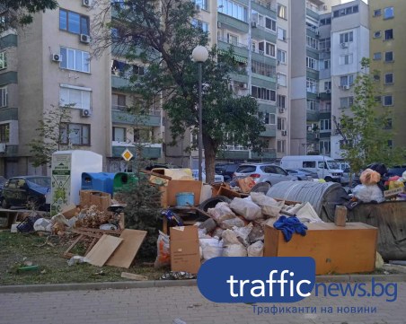 Новозасадено дръвче в Пловдив потъна в боклуци, едва се вижда