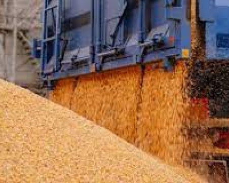 Правителството предлага да падне забраната за украинско зърно, вече се готвят протест