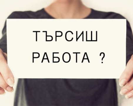 Търсите работа? Обявиха свободните работни позиции в Пловдив и областта