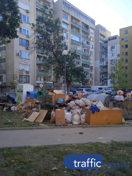 Новозасадено дръвче в Пловдив потъна в боклуци, едва се вижда