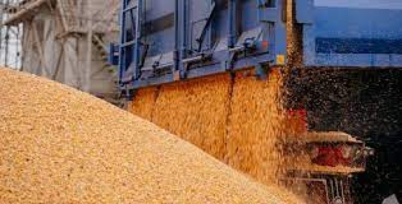 Правителството предлага да падне забраната за украинско зърно, вече се готвят протест